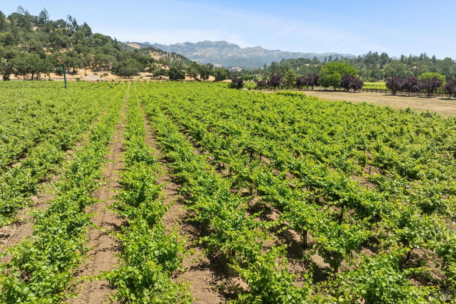 3567 State Highway 128 Calistoga CA 94515