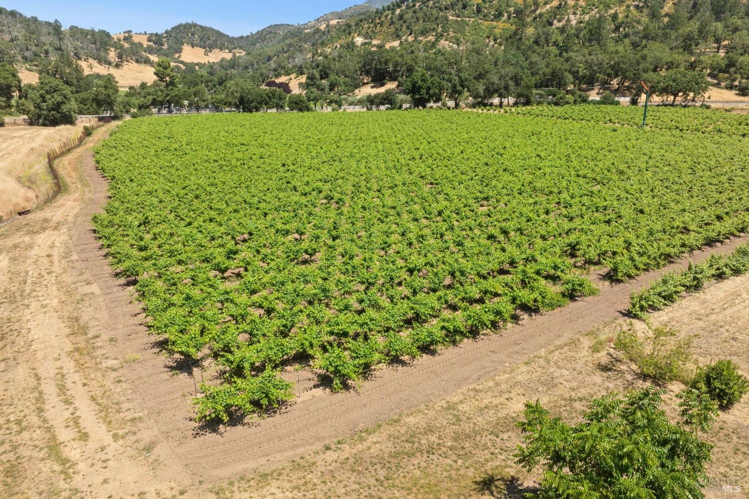 3567 State Highway 128 Calistoga CA 94515