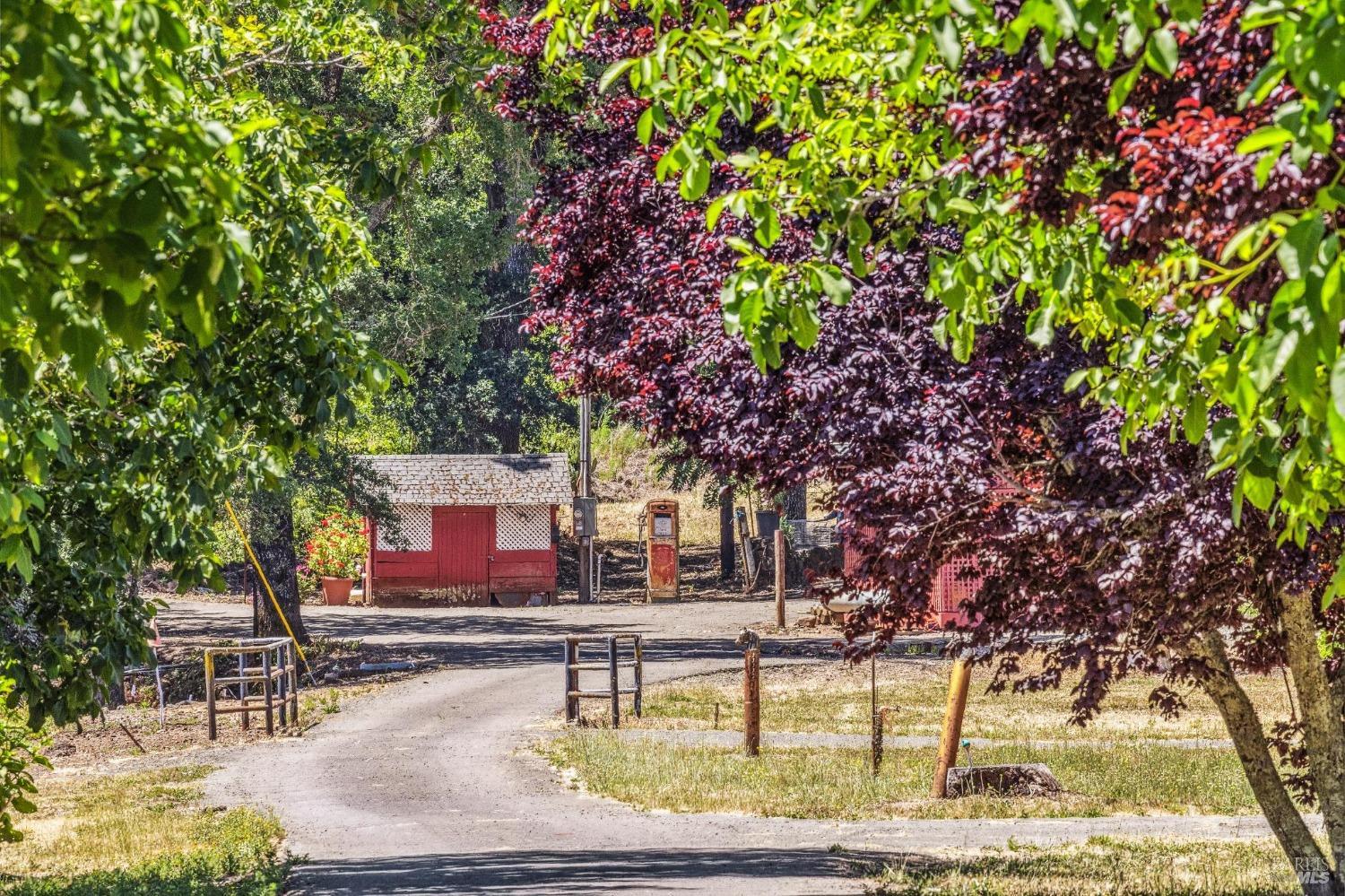 3567 State Highway 128 Calistoga CA 94515