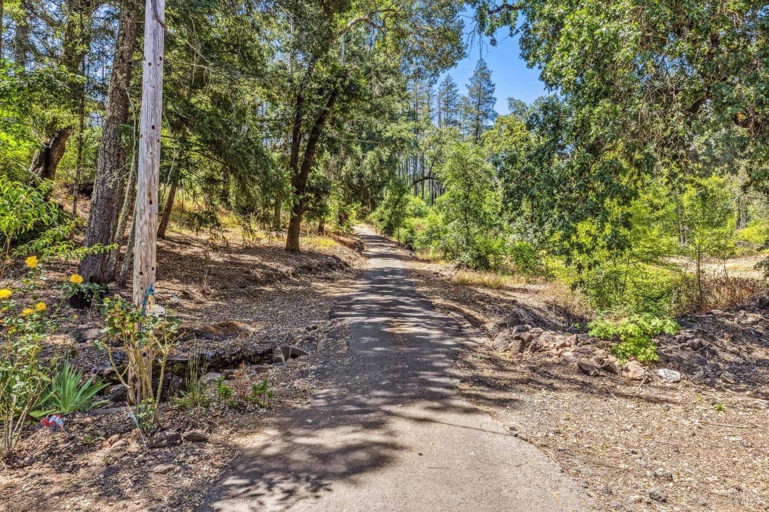 3567 State Highway 128 Calistoga CA 94515