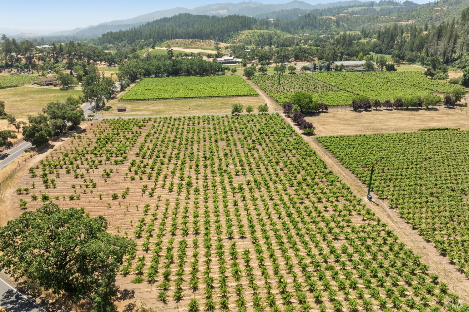 3567 State Highway 128 Calistoga CA 94515