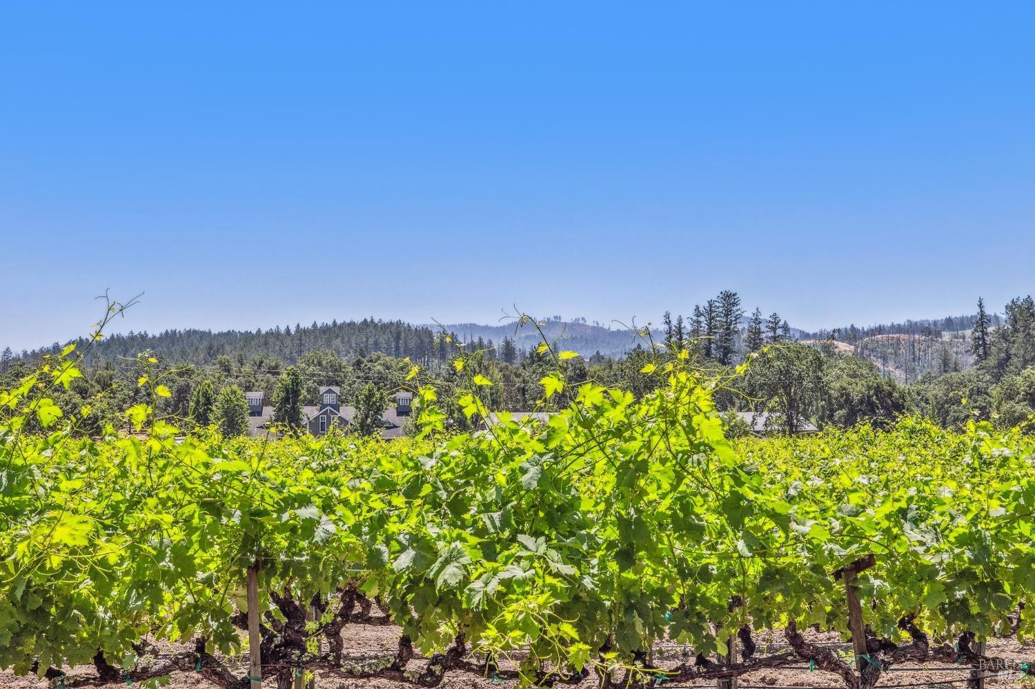 3567 State Highway 128 Calistoga CA 94515