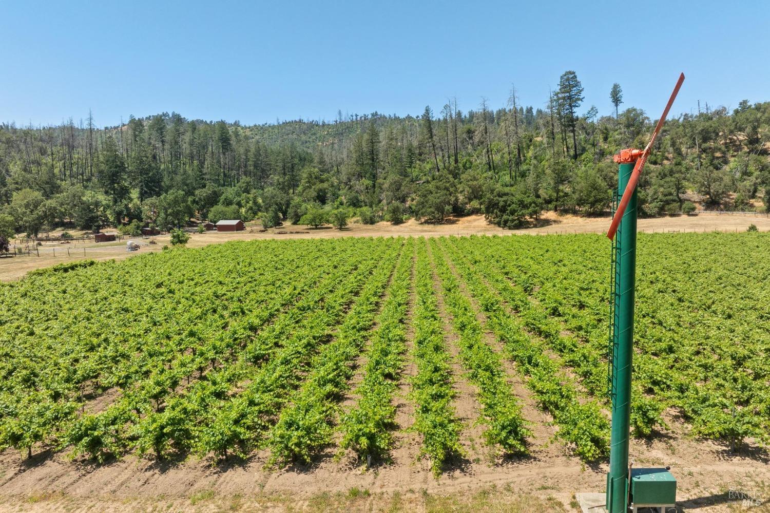 3567 State Highway 128 Calistoga CA 94515