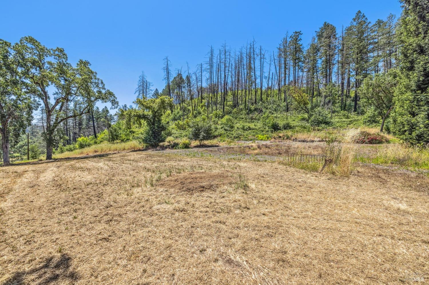 3567 State Highway 128 Calistoga CA 94515
