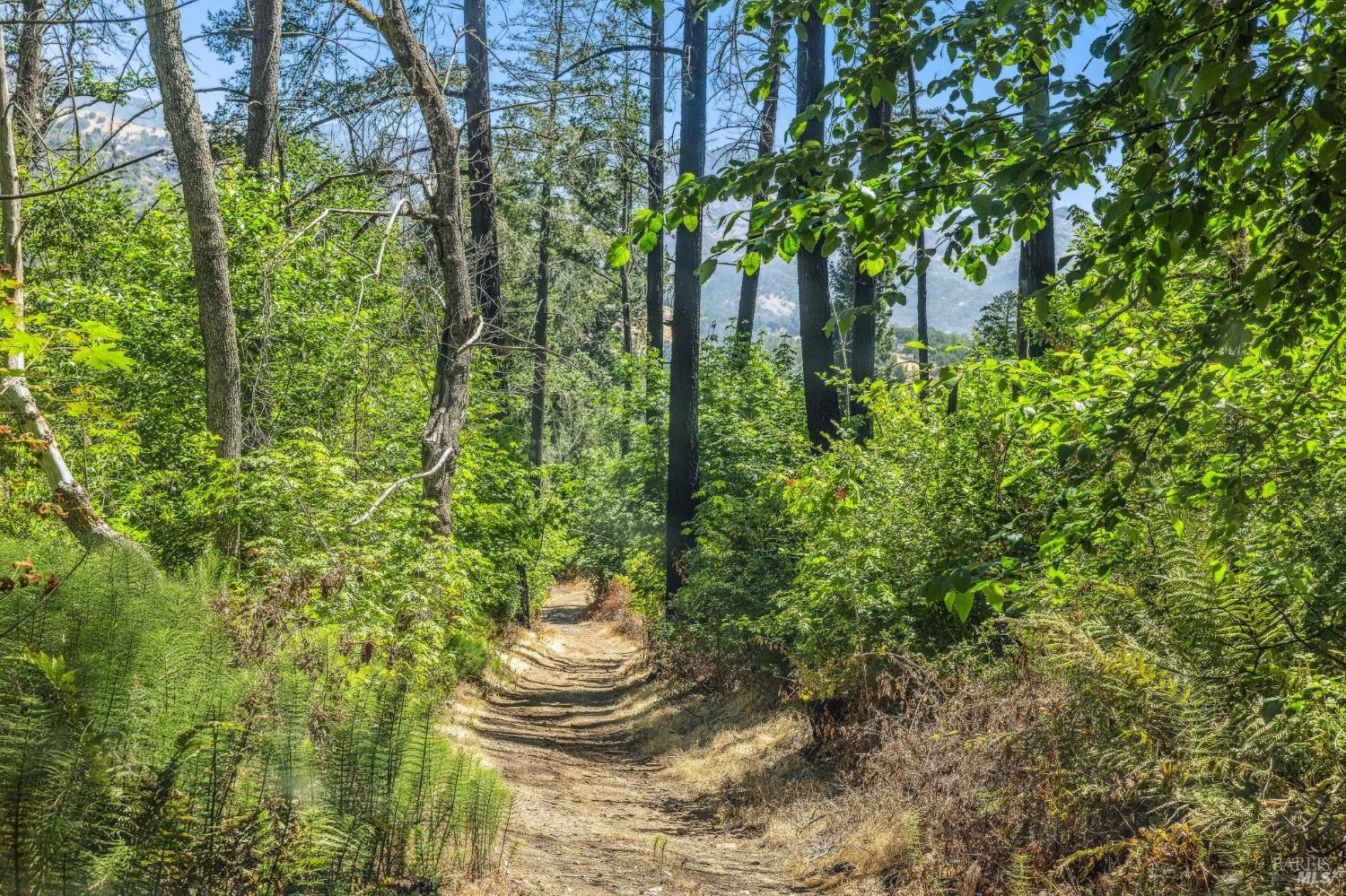 3567 State Highway 128 Calistoga CA 94515