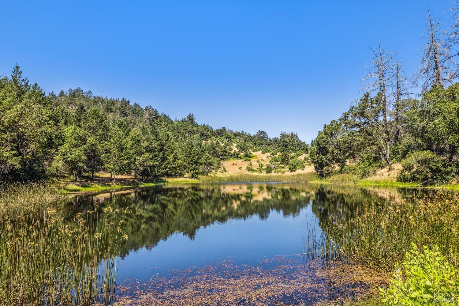 3567 State Highway 128 Calistoga CA 94515