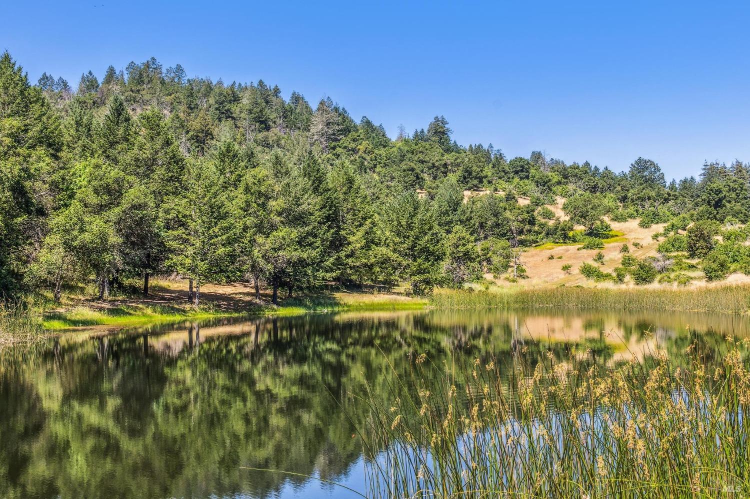 3567 State Highway 128 Calistoga CA 94515