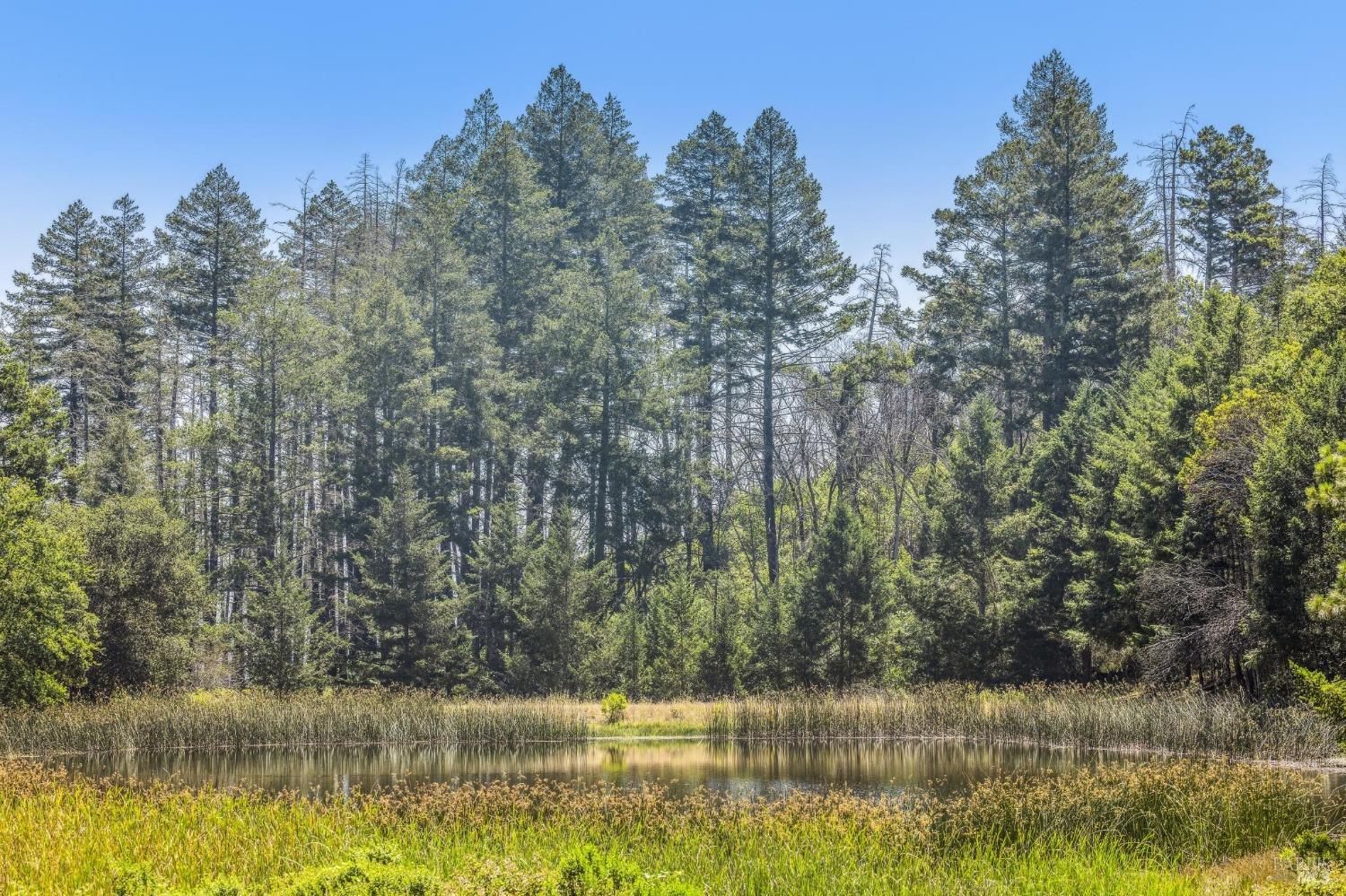 3567 State Highway 128 Calistoga CA 94515