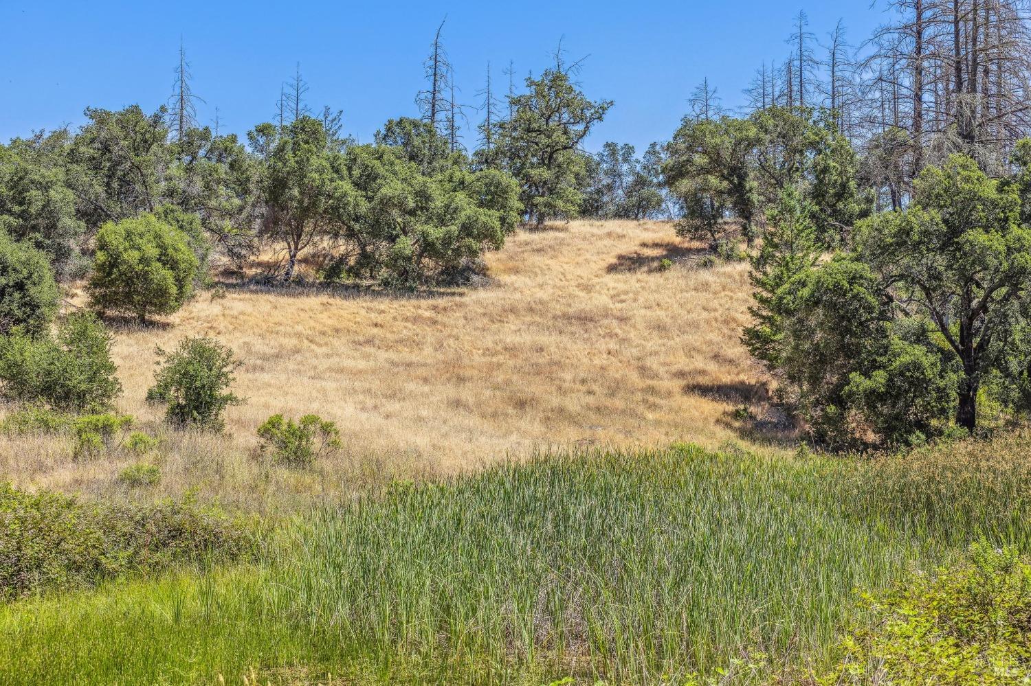 3567 State Highway 128 Calistoga CA 94515