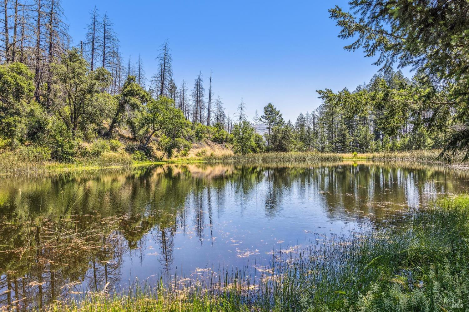 3567 State Highway 128 Calistoga CA 94515