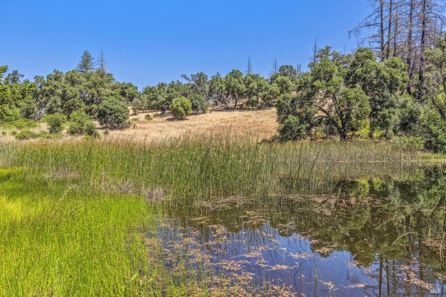 3567 State Highway 128 Calistoga CA 94515