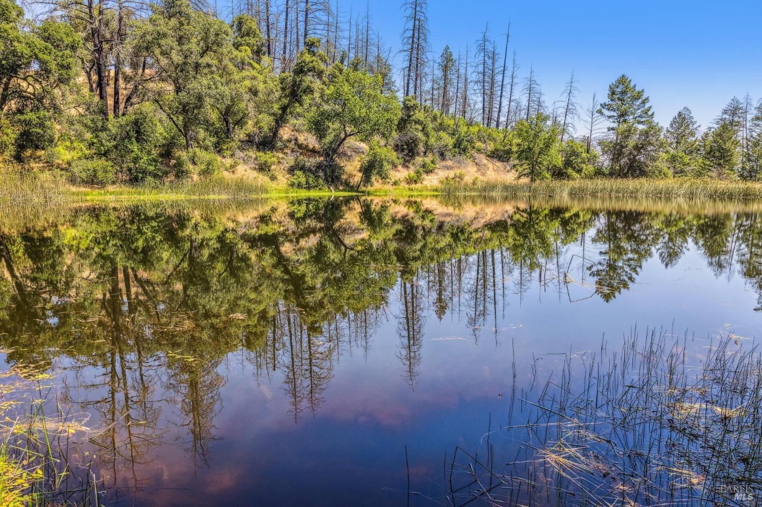 3567 State Highway 128 Calistoga CA 94515