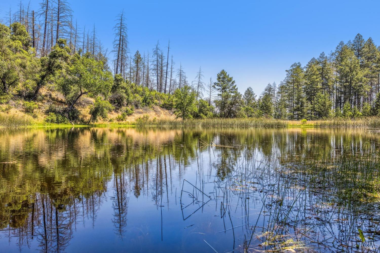 3567 State Highway 128 Calistoga CA 94515