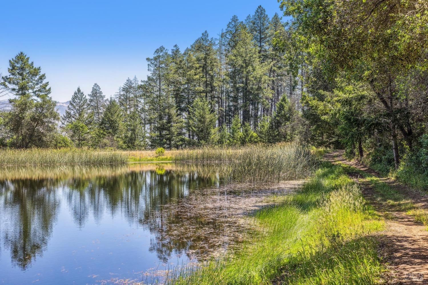 3567 State Highway 128 Calistoga CA 94515