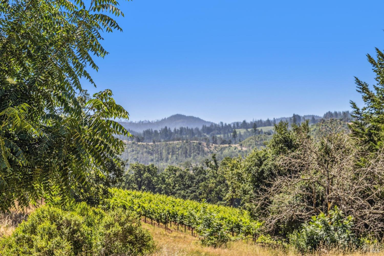 3567 State Highway 128 Calistoga CA 94515