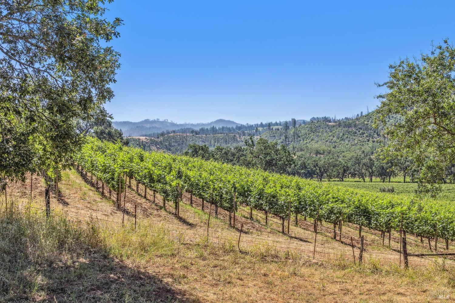 3567 State Highway 128 Calistoga CA 94515