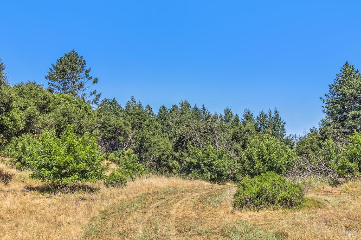 3567 State Highway 128 Calistoga CA 94515