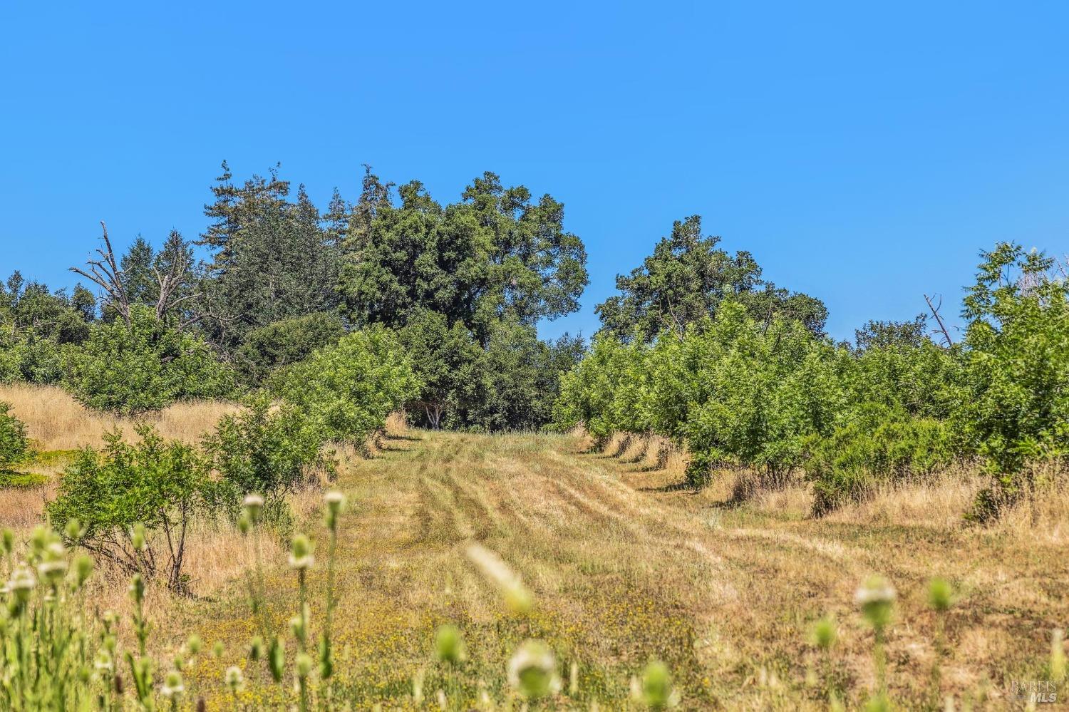 3567 State Highway 128 Calistoga CA 94515