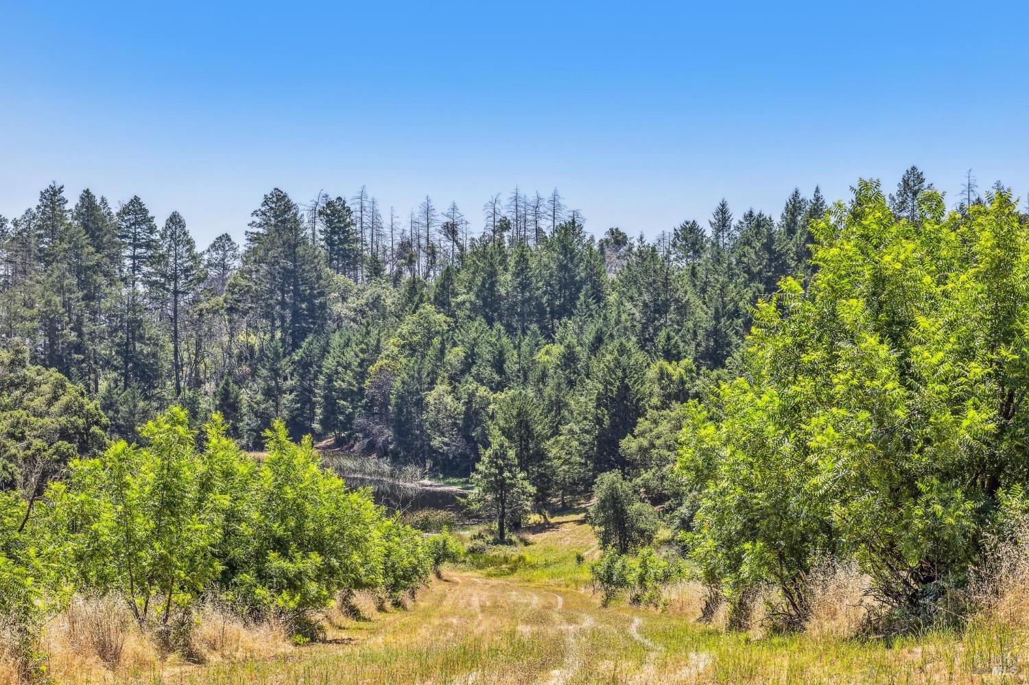 3567 State Highway 128 Calistoga CA 94515