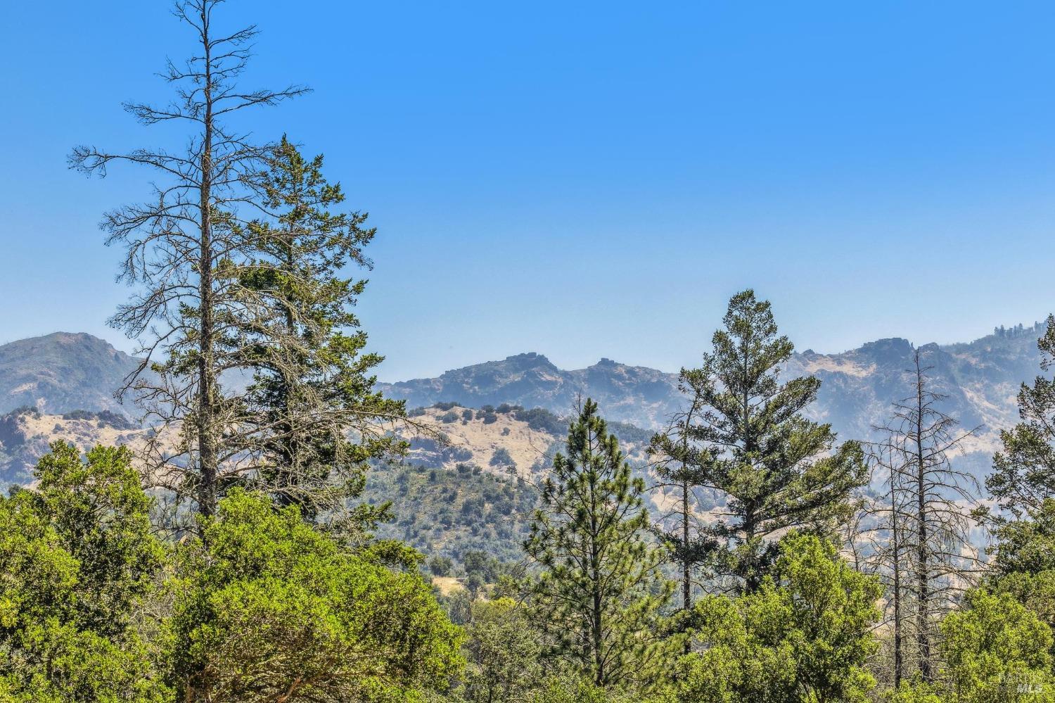 3567 State Highway 128 Calistoga CA 94515