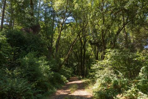 70 Fox Drive Inverness CA 94956
