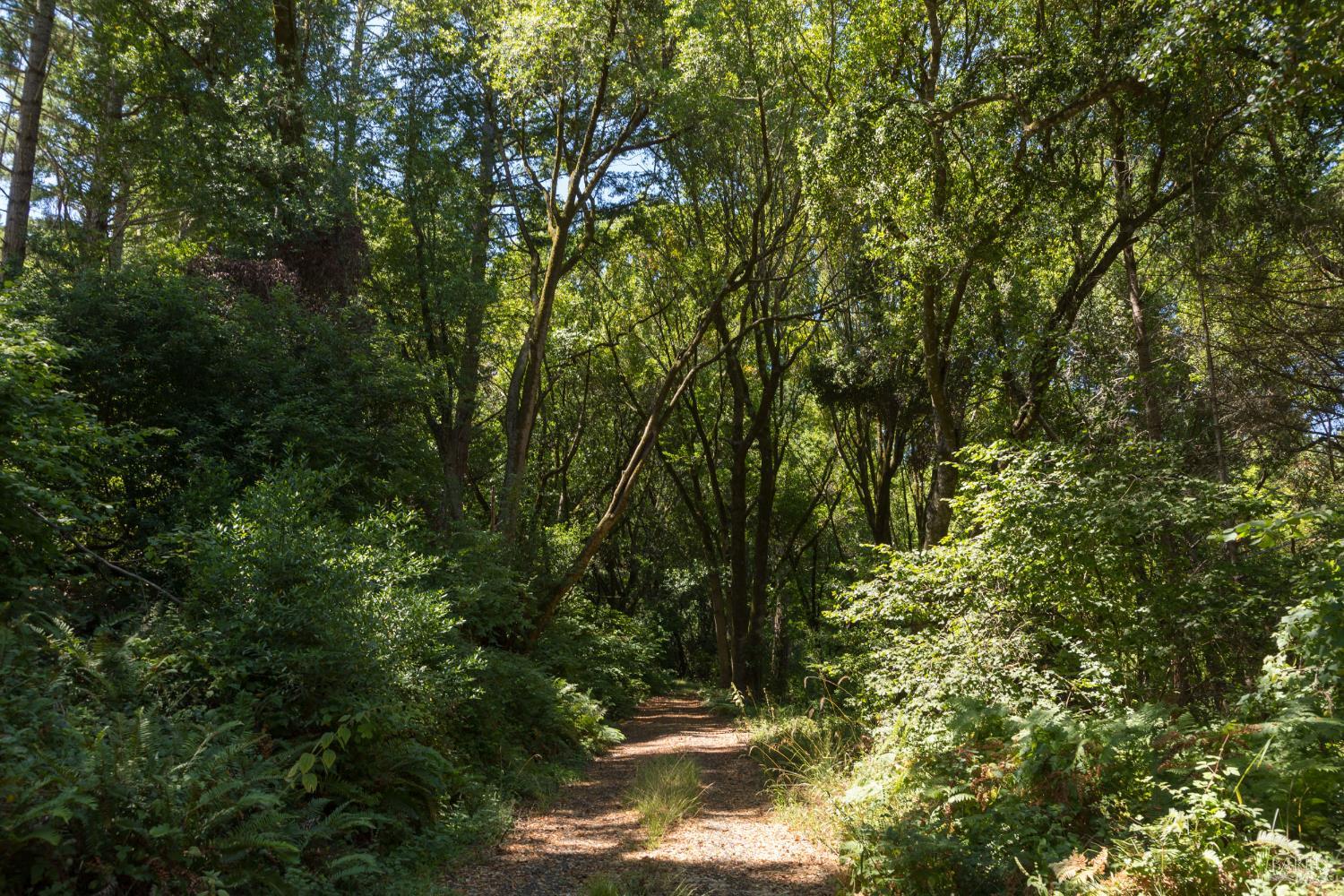 70 Fox Drive Inverness CA 94956