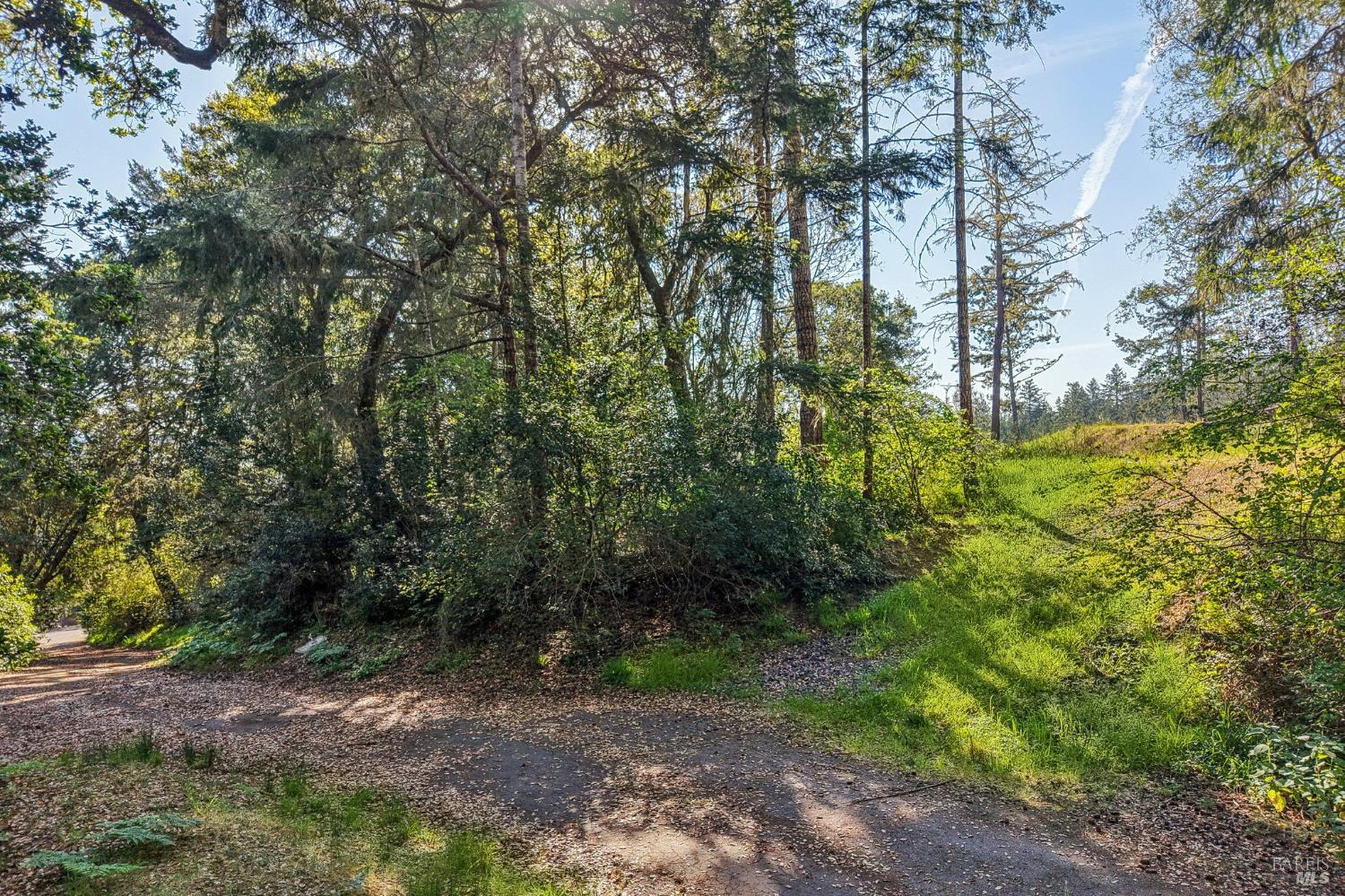 70 Fox Drive Inverness CA 94956