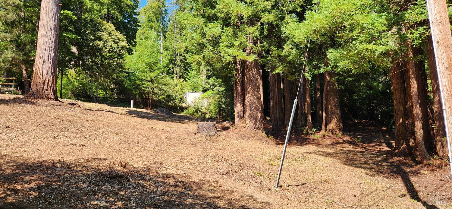 46785 Ocean View Drive Gualala CA 95445