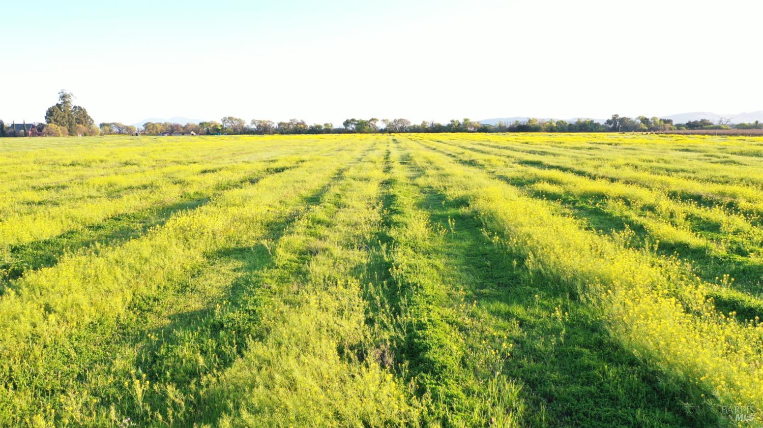 4683 Abernathy Road Fairfield CA 94534