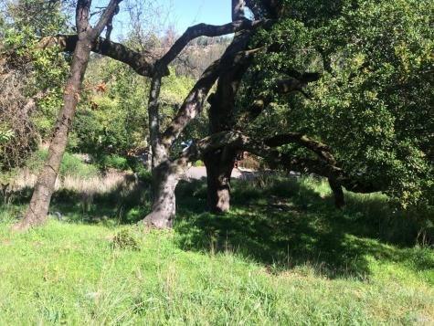 317 Coleman Drive San Rafael CA 94901