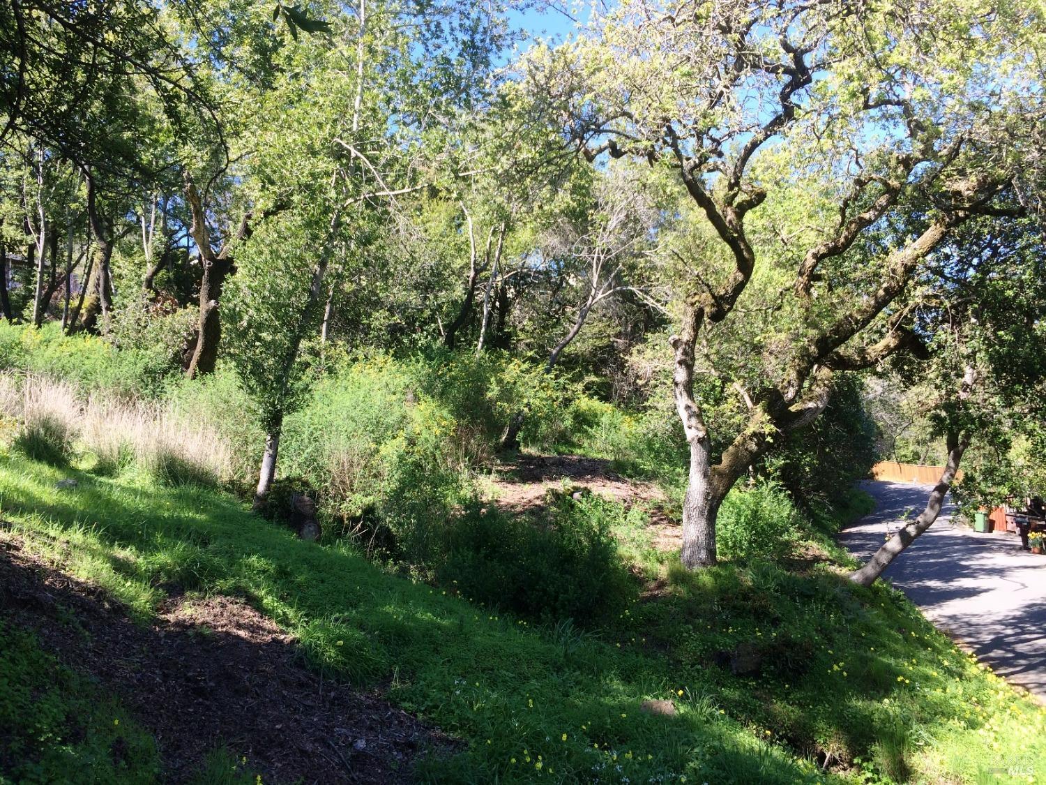 317 Coleman Drive San Rafael CA 94901