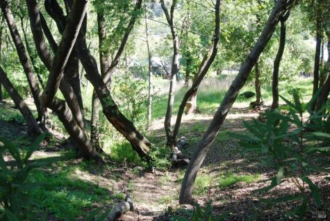 317 Coleman Drive San Rafael CA 94901