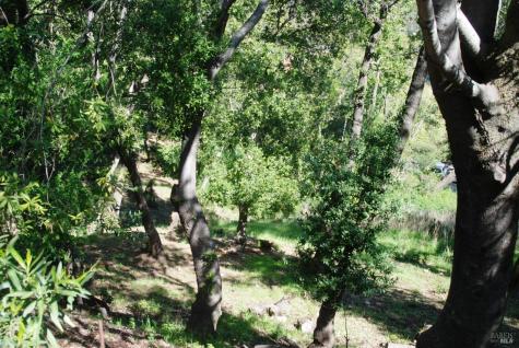 317 Coleman Drive San Rafael CA 94901