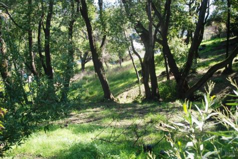 317 Coleman Drive San Rafael CA 94901