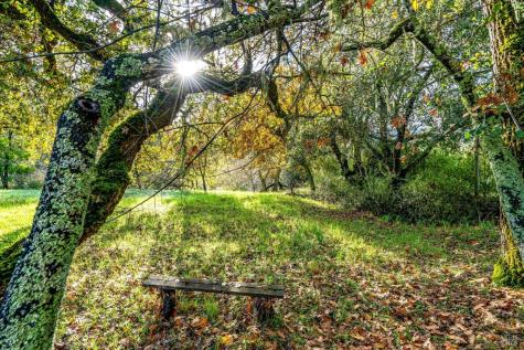 1055 Heaven Hill Road Sonoma CA 95476