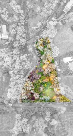 1055 Heaven Hill Road Sonoma CA 95476