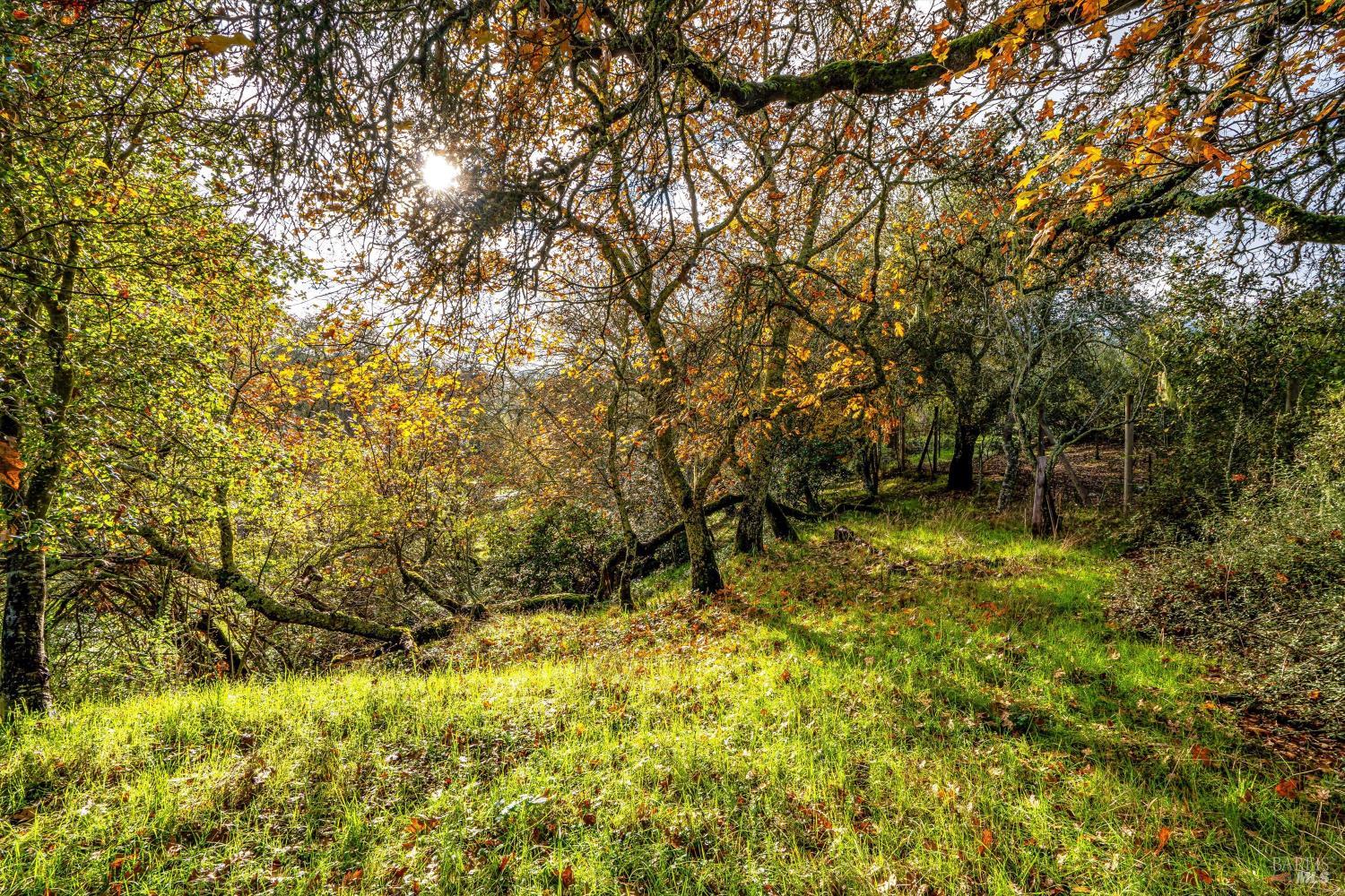 1055 Heaven Hill Road Sonoma CA 95476