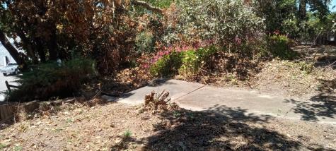 9989 Oak Street Penngrove CA 94951