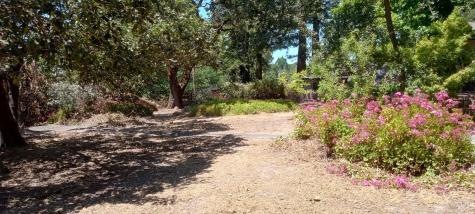 9989 Oak Street Penngrove CA 94951