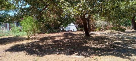 9989 Oak Street Penngrove CA 94951