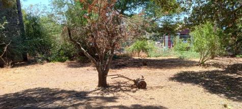 9989 Oak Street Penngrove CA 94951