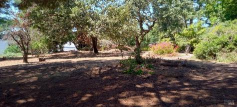 9989 Oak Street Penngrove CA 94951