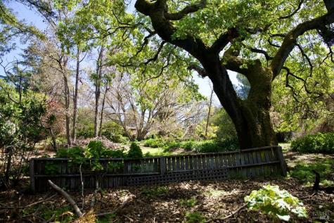 9989 Oak Street Penngrove CA 94951