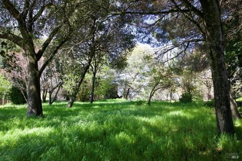 9989 Oak Street Penngrove CA 94951