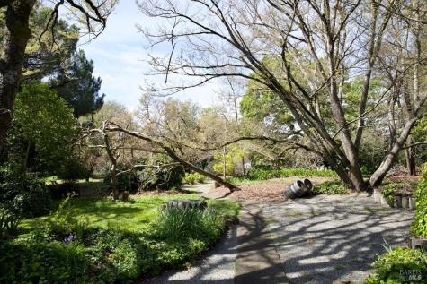 9989 Oak Street Penngrove CA 94951