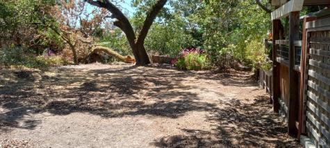 9989 Oak Street Penngrove CA 94951