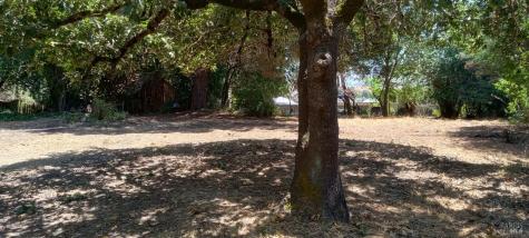 9989 Oak Street Penngrove CA 94951