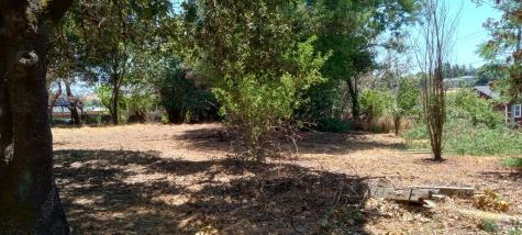 9989 Oak Street Penngrove CA 94951