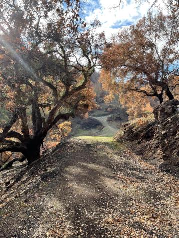 0 Wallace Creek Road Healdsburg CA 95448