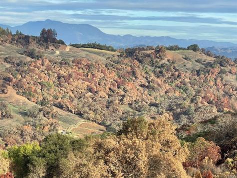 0 Wallace Creek Road Healdsburg CA 95448